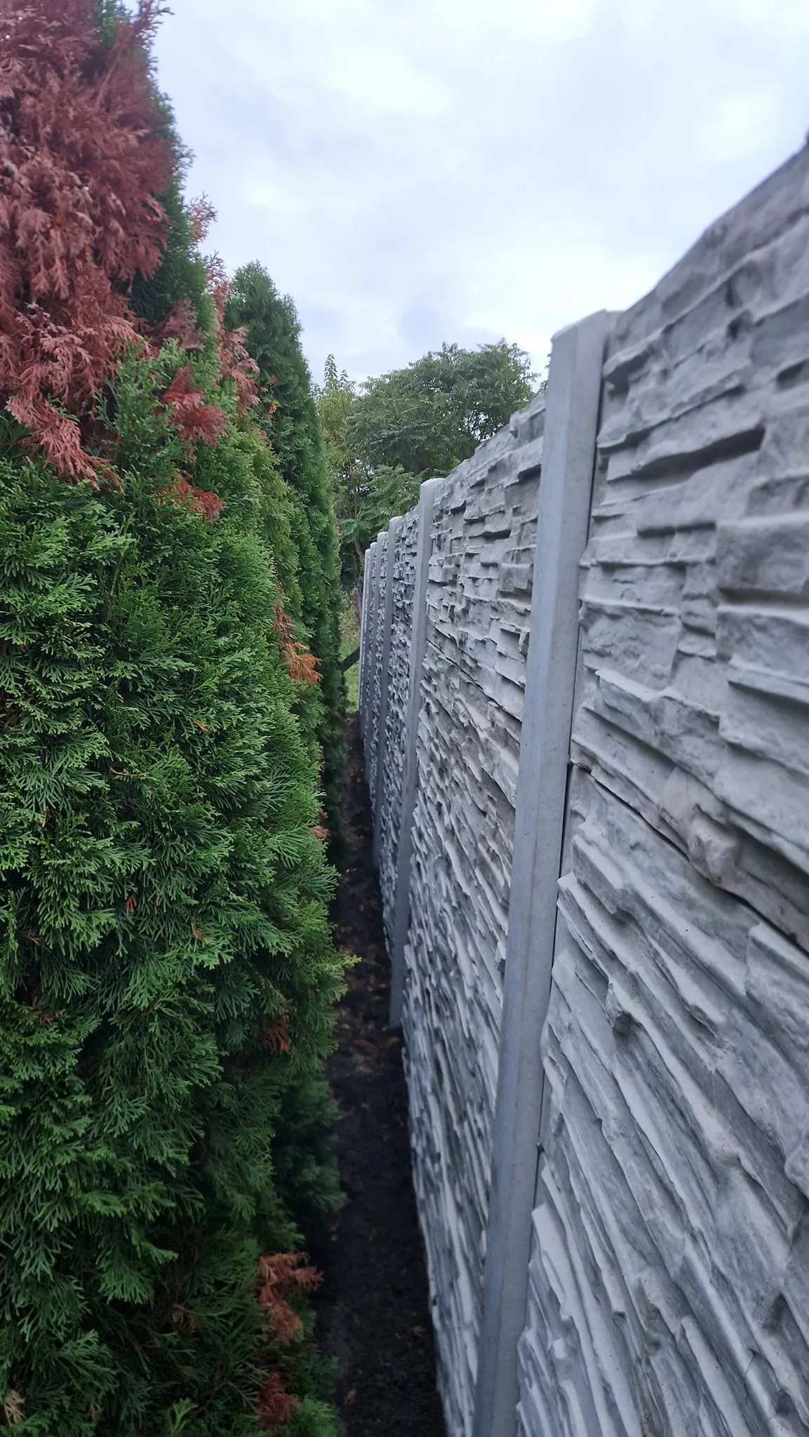 Kerítés projekt 10